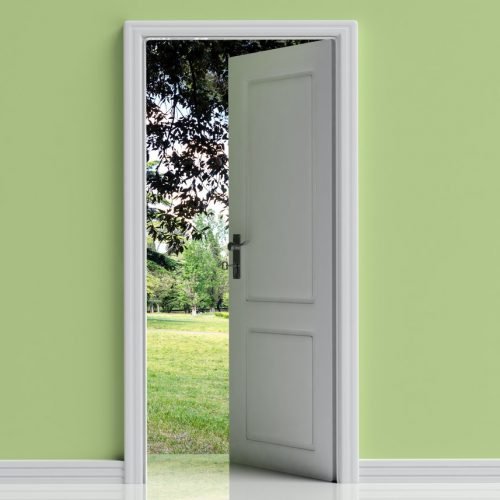 open-door-on-green-pastel-wall-background-park-view-out-of-the-door-opening-3d-illustration